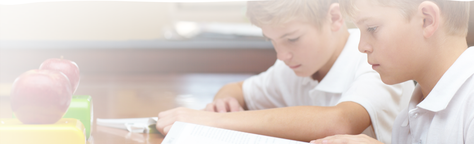 Programa MBAKids – educație orientată spre viitor